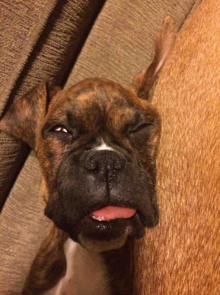 morning picdump 51 pics 2.html - 51 HD Photos | Premium Gallery 2014