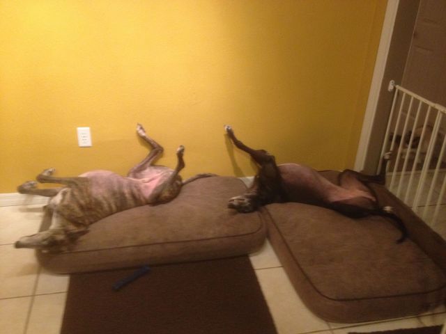 morning picdump 51 pics 2.html - 51 HD Photos | Premium Gallery 2014