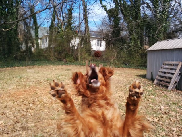 morning picdump 52 pics 19.html - 52 HD Photos | Premium Gallery 2014