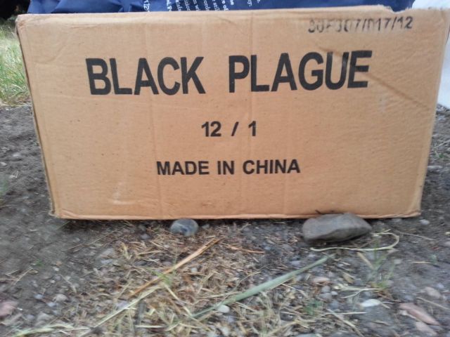 morning picdump 52 pics 19.html - 52 HD Photos | Premium Gallery 2014