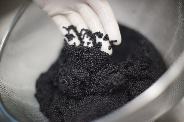 Foods That Are Banned in the USA