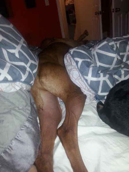 morning picdump 56 pics 50.html - 56 HD Photos | Premium Gallery 2014