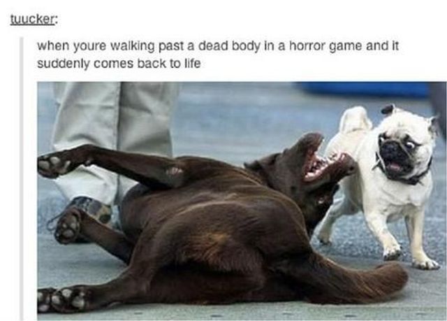 morning picdump 56 pics 50.html - 56 HD Photos | Premium Gallery 2014