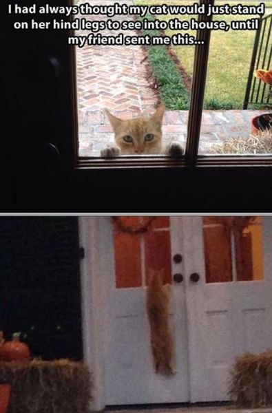 morning picdump 56 pics 50.html - 56 HD Photos | Premium Gallery 2014