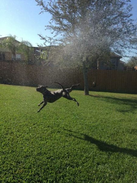 morning picdump 56 pics 50.html - 56 HD Photos | Premium Gallery 2014