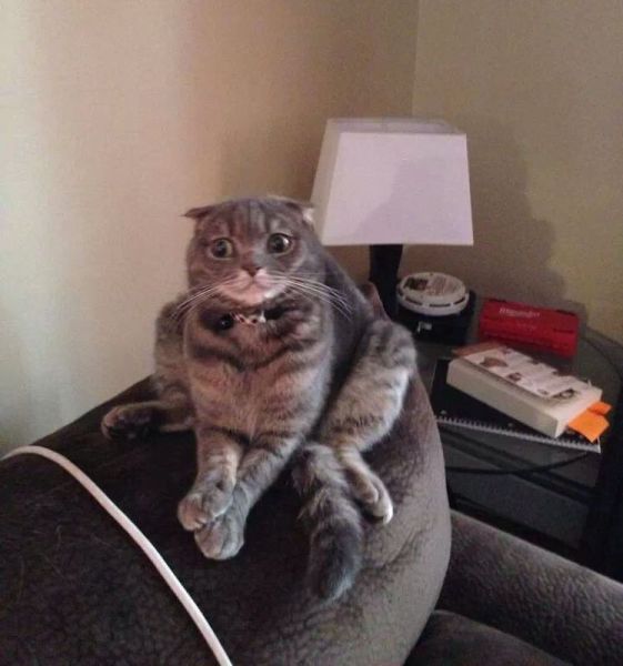 morning picdump 56 pics 28.html - 56 HD Photos | Premium Gallery 2014