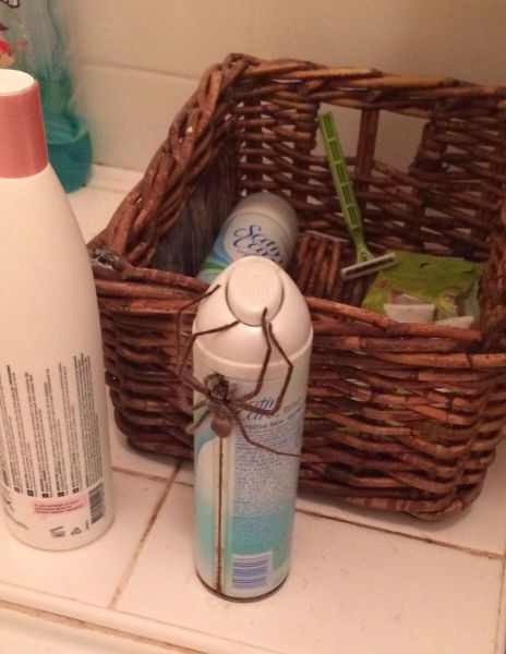 morning picdump 56 pics 28.html - 56 HD Photos | Premium Gallery 2014