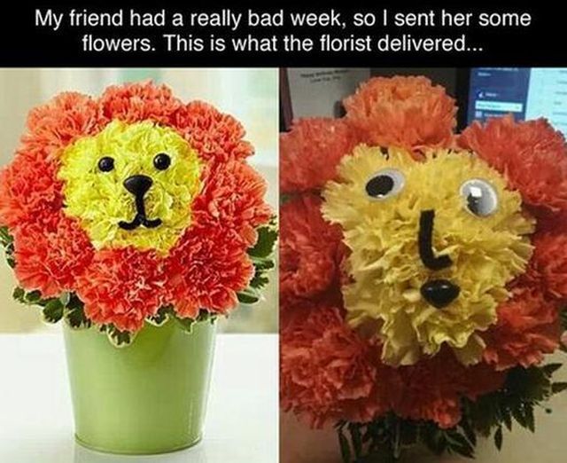 morning picdump 56 pics 28.html - 56 HD Photos | Premium Gallery 2014