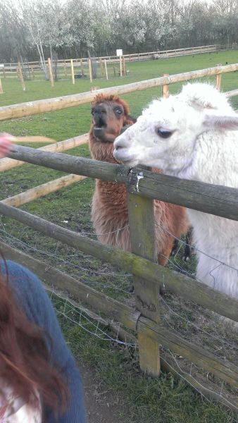 morning picdump 60 pics 4.html - 60 HD Photos | Premium Gallery 2014