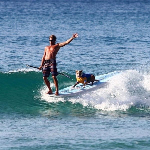 morning picdump 60 pics 4.html - 60 HD Photos | Premium Gallery 2014