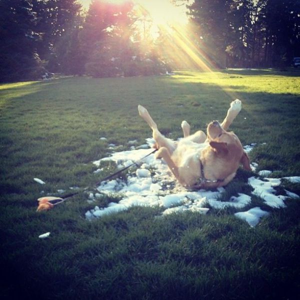 morning picdump 60 pics 4.html - 60 HD Photos | Premium Gallery 2014