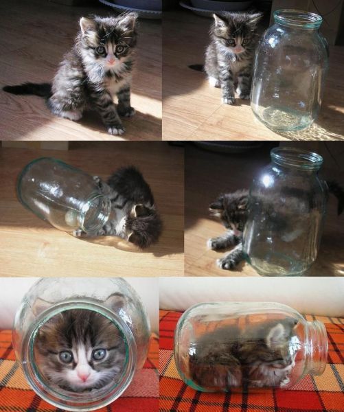 morning picdump 54 pics 9.html - 54 HD Photos | Premium Gallery 2014