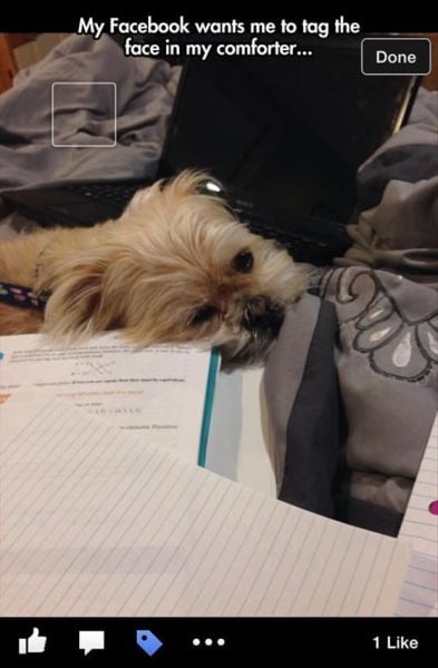 morning picdump 54 pics 9.html - 54 HD Photos | Premium Gallery 2014