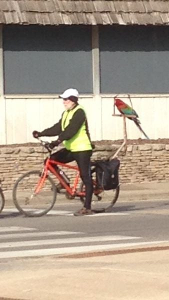 morning picdump 54 pics 9.html - 54 HD Photos | Premium Gallery 2014