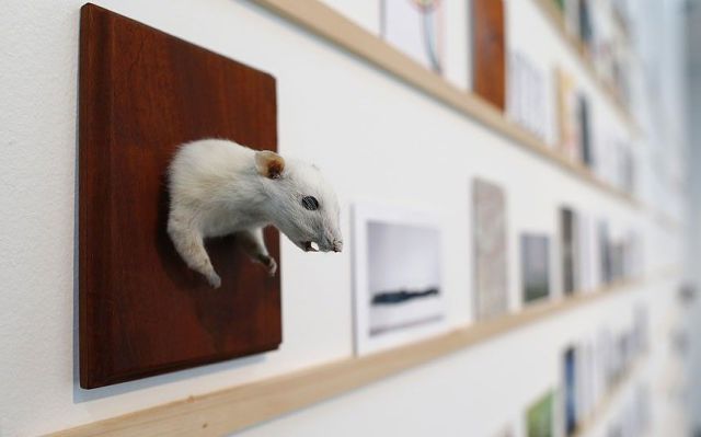 daily picdump 92 pics 17.html - 92 HD Photos | Premium Gallery 2014