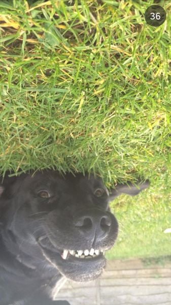 daily picdump 92 pics 17.html - 92 HD Photos | Premium Gallery 2014