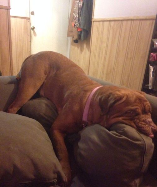 daily picdump 92 pics 17.html - 92 HD Photos | Premium Gallery 2014