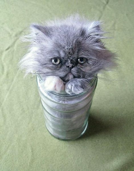 morning picdump 52 pics 5.html - 52 HD Photos | Premium Gallery 2014