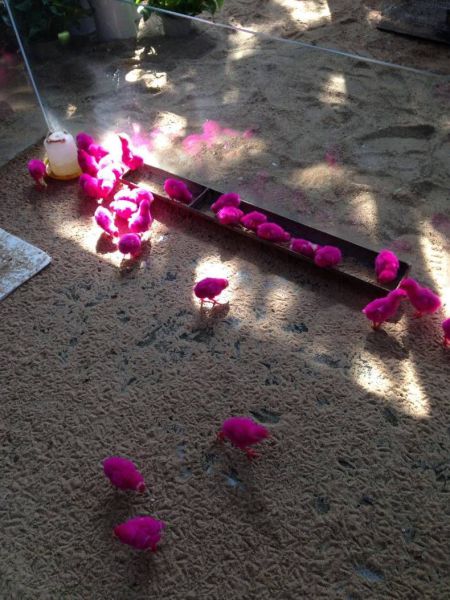 morning picdump 52 pics 5.html - 52 HD Photos | Premium Gallery 2014