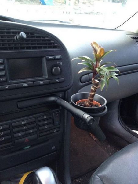 morning picdump 52 pics 5.html - 52 HD Photos | Premium Gallery 2014