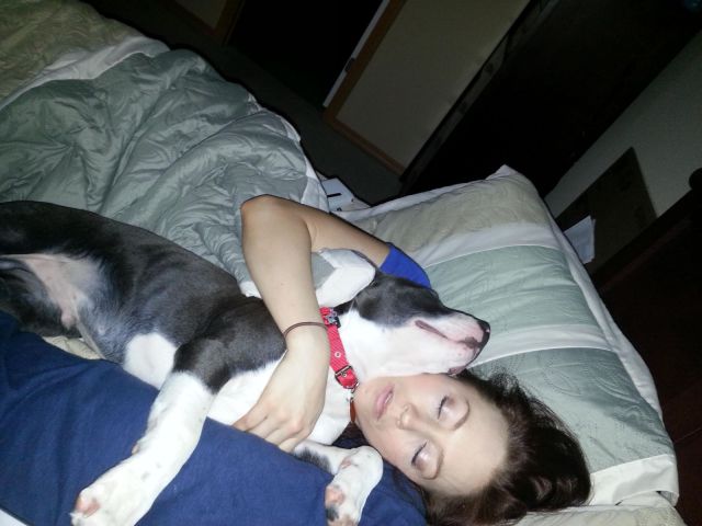 daily picdump 104 pics 51.html - 104 HD Photos | Premium Gallery 2014