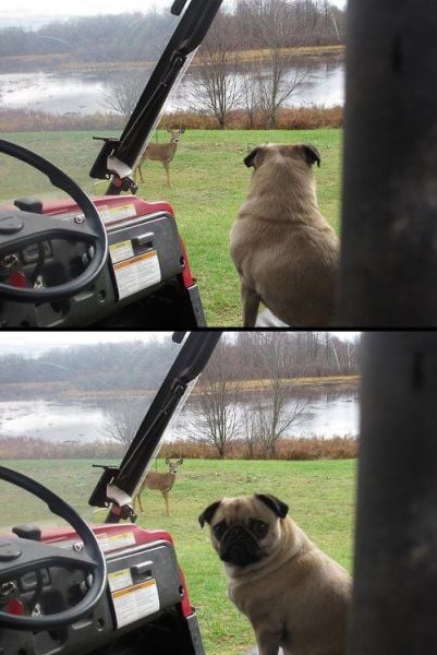 daily picdump 104 pics 51.html - 104 HD Photos | Premium Gallery 2014