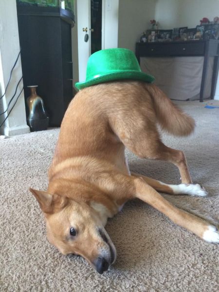 daily picdump 104 pics 51.html - 104 HD Photos | Premium Gallery 2014