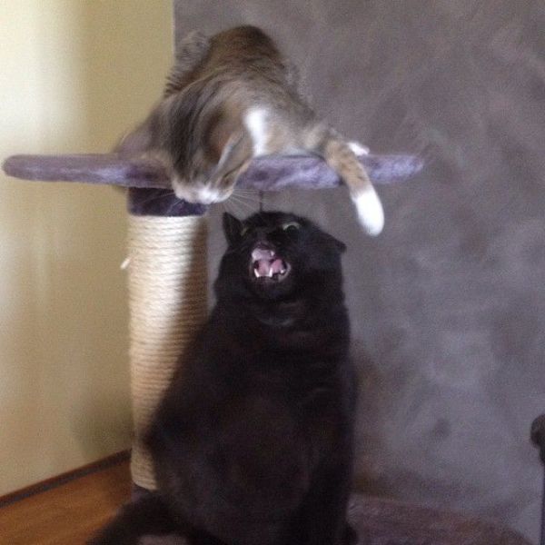 daily picdump 104 pics 51.html - 104 HD Photos | Premium Gallery 2014