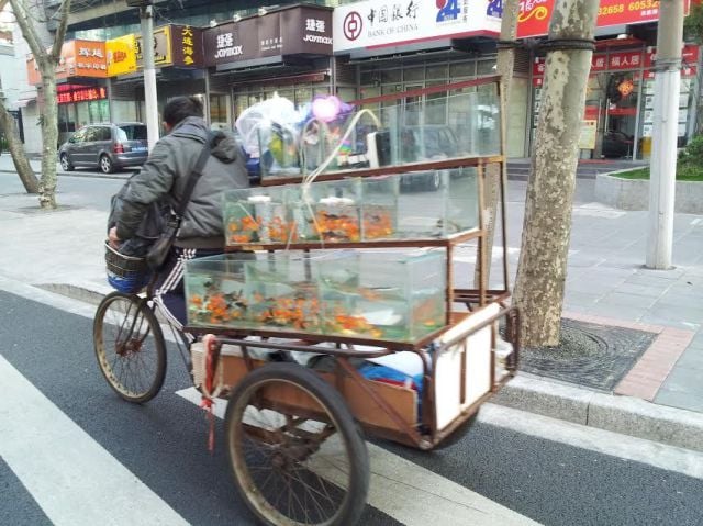 daily picdump 104 pics 51.html - 104 HD Photos | Premium Gallery 2014