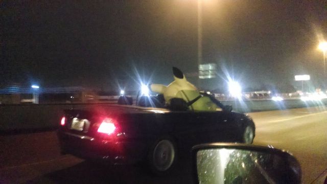 daily picdump 104 pics 51.html - 104 HD Photos | Premium Gallery 2014