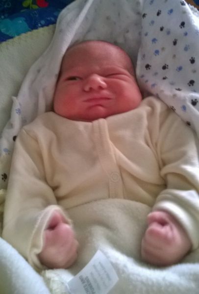 daily picdump 104 pics 51.html - 104 HD Photos | Premium Gallery 2014