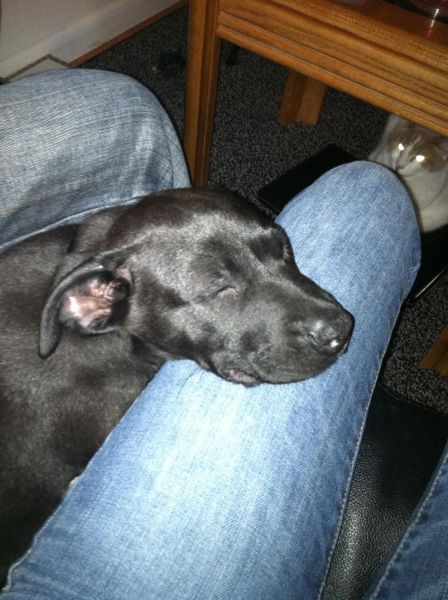 morning picdump 54 pics 9.html - 54 HD Photos | Premium Gallery 2014