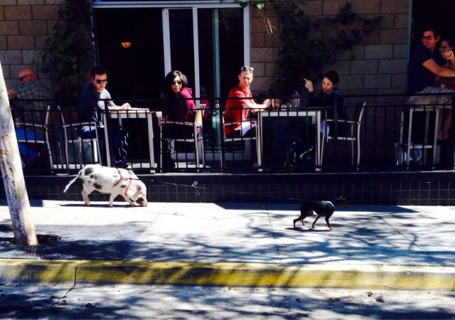 morning picdump 54 pics 9.html - 54 HD Photos | Premium Gallery 2014