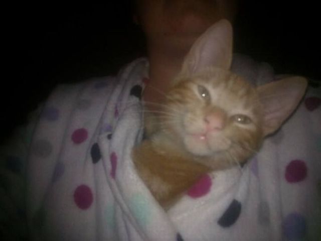 morning picdump 54 pics 9.html - 54 HD Photos | Premium Gallery 2014