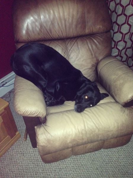 morning picdump 54 pics 9.html - 54 HD Photos | Premium Gallery 2014