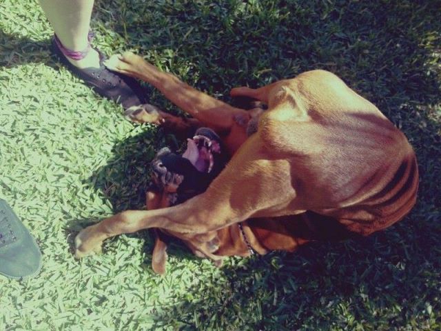 morning picdump 54 pics 9.html - 54 HD Photos | Premium Gallery 2014