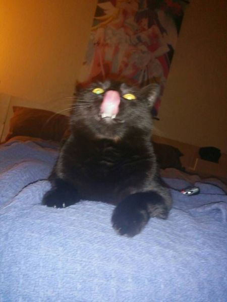 morning picdump 54 pics 9.html - 54 HD Photos | Premium Gallery 2014