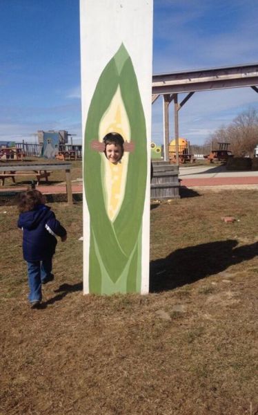 morning picdump 54 pics 9.html - 54 HD Photos | Premium Gallery 2014