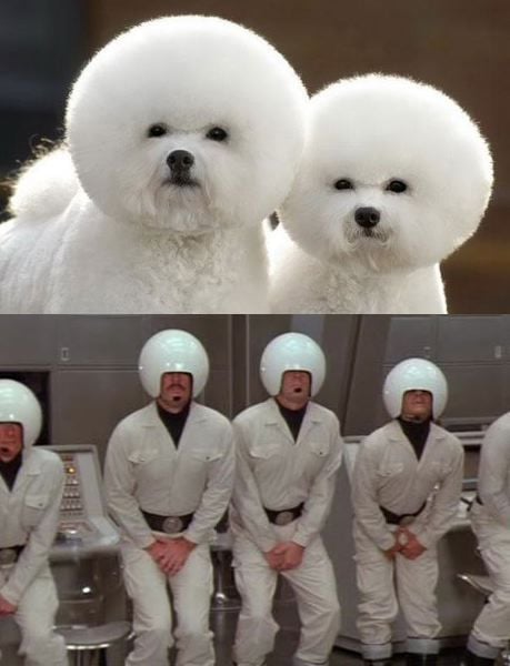 funny picdump 53 pics 25.html - 53 HD Photos | Premium Gallery 2014