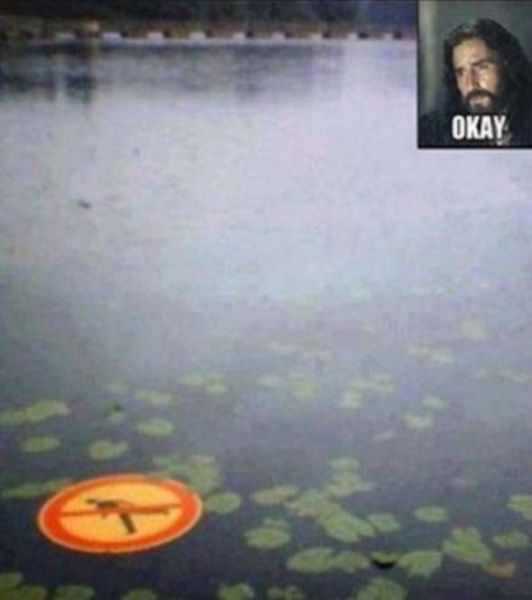 funny picdump 53 pics 25.html - 53 HD Photos | Premium Gallery 2014