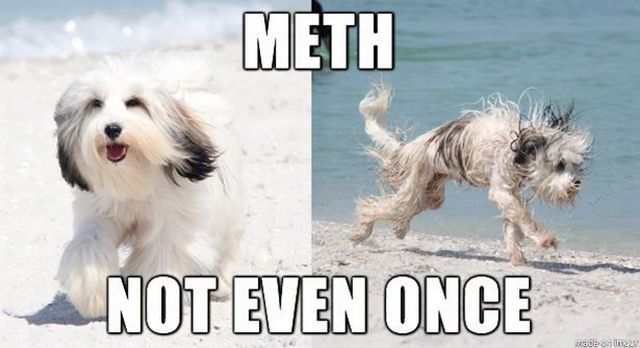 funny picdump 53 pics 25.html - 53 HD Photos | Premium Gallery 2014