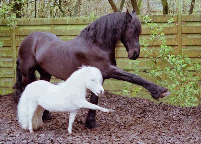 morning picdump 56 pics 8.html - 56 HD Photos | Premium Gallery 2014