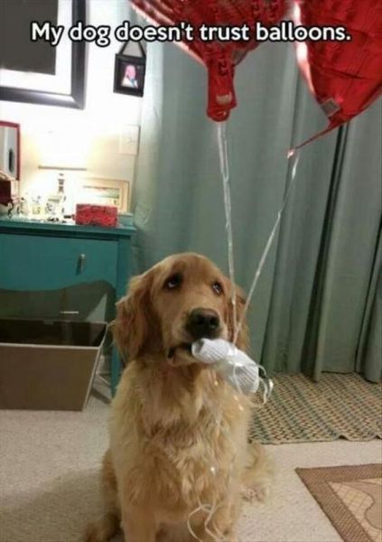 morning picdump 56 pics 8.html - 56 HD Photos | Premium Gallery 2014