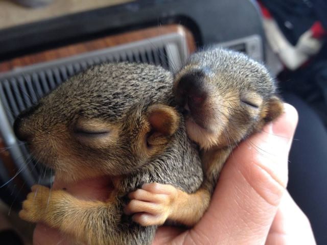 morning picdump 56 pics 8.html - 56 HD Photos | Premium Gallery 2014
