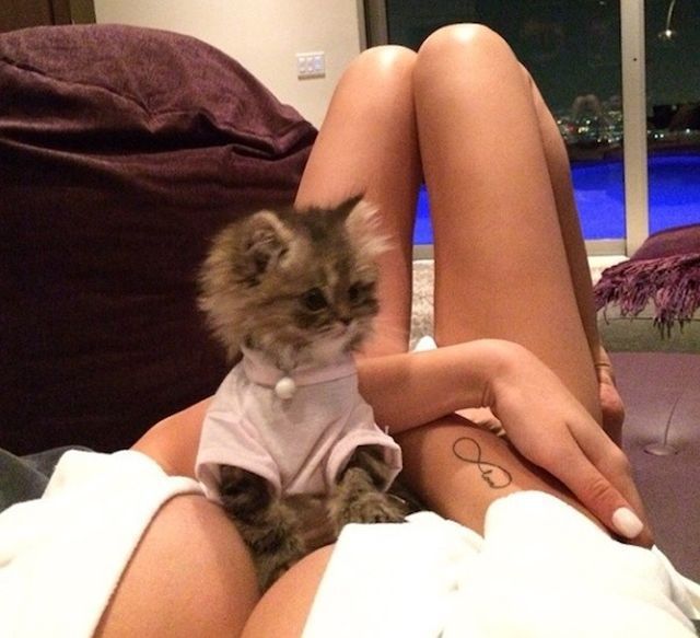 grownup corner 39 pics 17 gifs 4.html - 39 HD GIF | Premium Gallery 2014