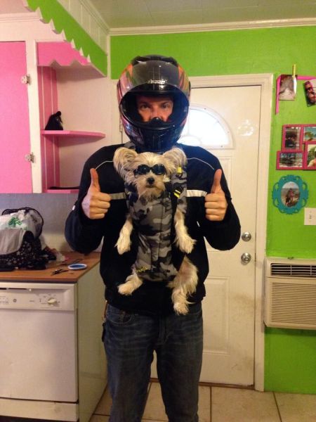 morning picdump 56 pics 4.html - 56 HD Photos | Premium Gallery 2014