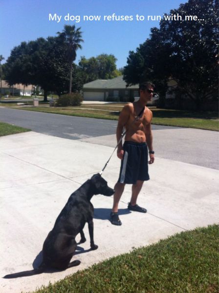 morning picdump 56 pics 4.html - 56 HD Photos | Premium Gallery 2014