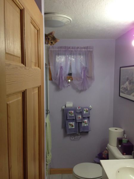 morning picdump 56 pics 4.html - 56 HD Photos | Premium Gallery 2014