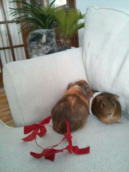 morning picdump 56 pics 4.html - 56 HD Photos | Premium Gallery 2014