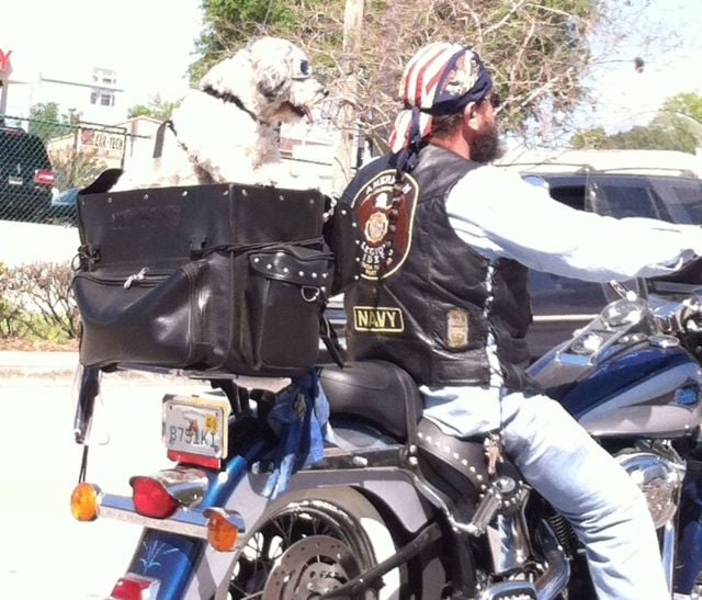 morning picdump 54 pics 21.html - 54 HD Photos | Premium Gallery 2014